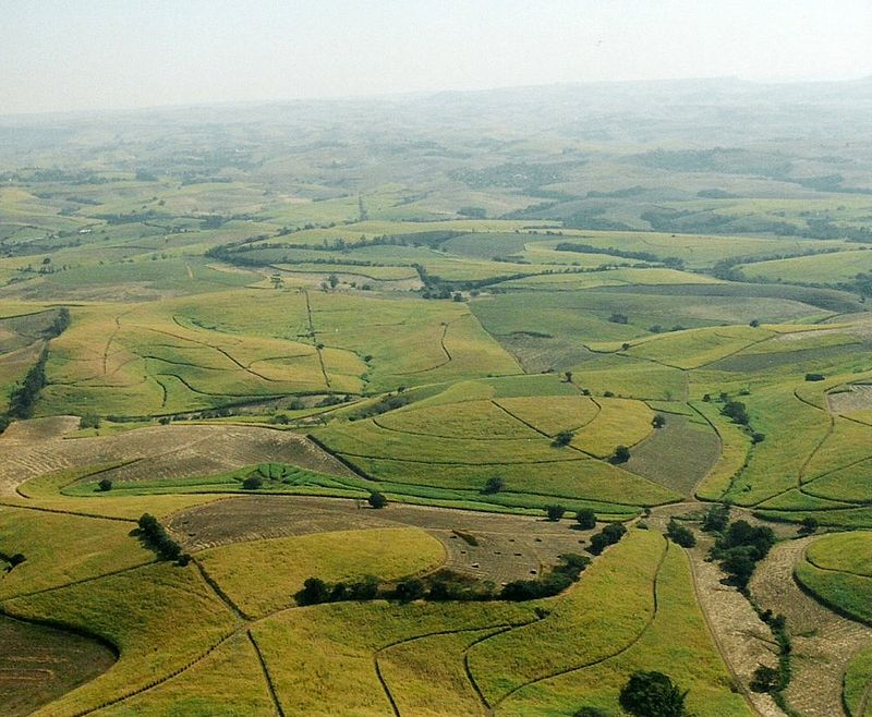 800px-RSA_Sugar_Fields